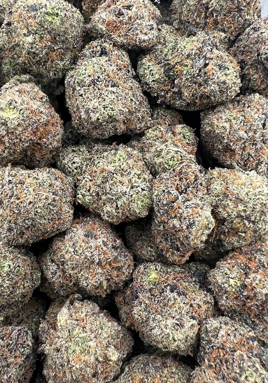 SFV Candy Gelato strain image
